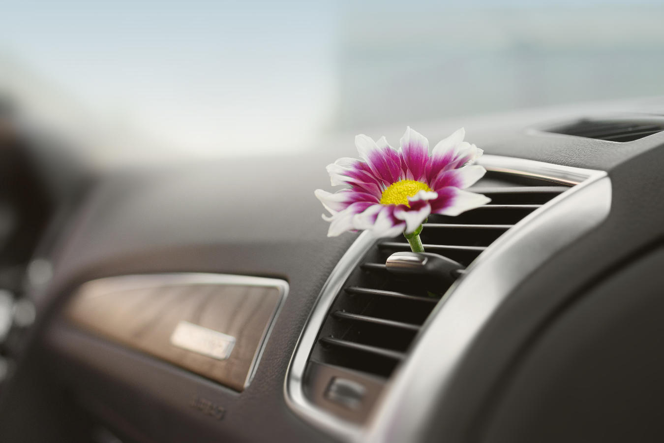 Jaki zapach do samochodu będzie dobrym wyborem? 