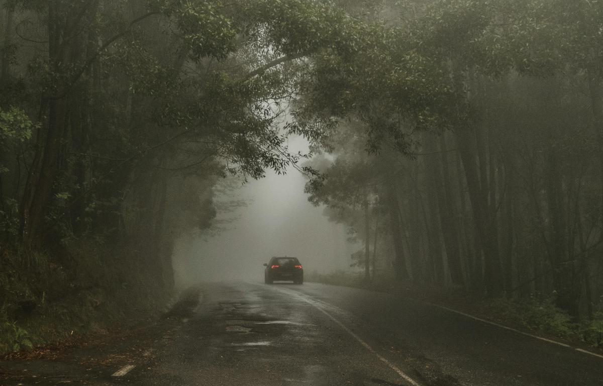 Jazda we mgle - auto jadące przez las