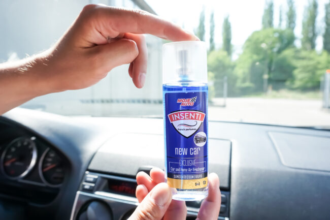 Acheter 5 pièces désodorisant de voiture odeur dans la voiture